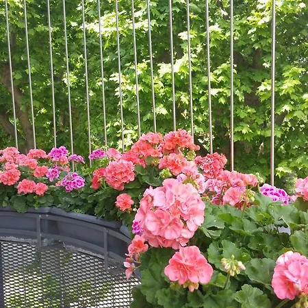 Bed and Breakfast Leterrazze Boutique - Torino Ciriè